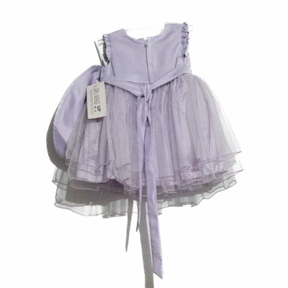 Growing Up Girls Baby Girls Lavender Dress & Hat Set With Floral Embroide Size M - Picture 4 of 5